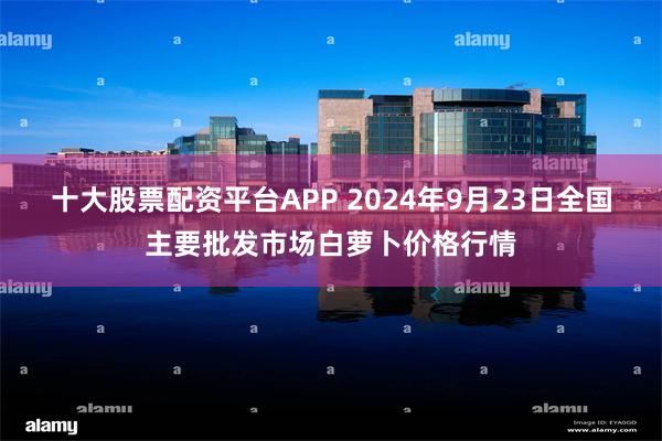 十大股票配资平台APP 2024年9月23日全国主要批发市场白萝卜价格行情