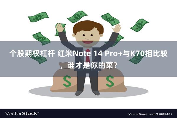 个股期权杠杆 红米Note 14 Pro+与K70相比较，谁才是你的菜？