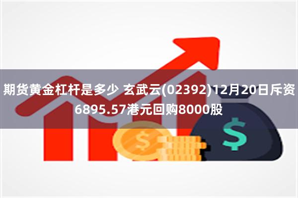 期货黄金杠杆是多少 玄武云(02392)12月20日斥资6895.57港元回购8000股