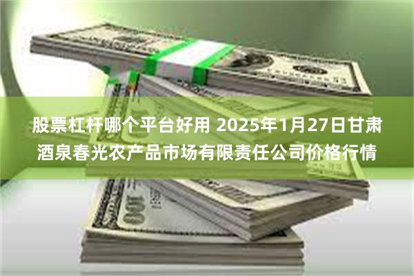 股票杠杆哪个平台好用 2025年1月27日甘肃酒泉春光农产品市场有限责任公司价格行情