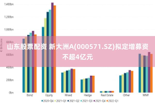 山东股票配资 新大洲A(000571.SZ)拟定增募资不超4亿元